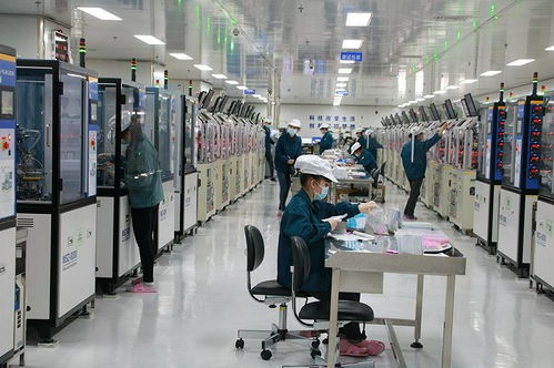 泰晶科技年報解讀 凈利暴增2.4倍背后的邏輯與行業新紀元